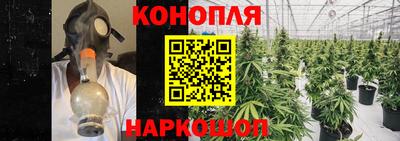 СК Моздок