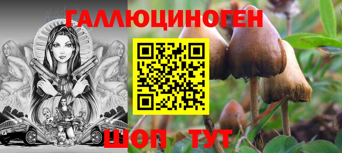 Галлюциногенные грибы Cubensis  Вход с VPN  Шахты  Галлюциногенные грибы Magic Shrooms 